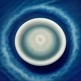 糖心生活编辑林晓糖的专业头像，温和亲切的笑容，展现资深生活方式编辑的专业气质